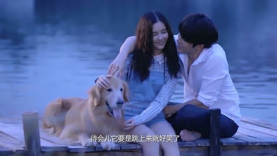 弹球大战俄罗斯方块